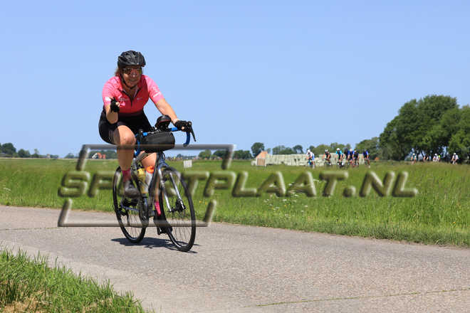 F10593.jpg